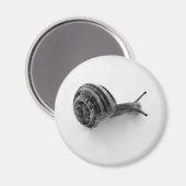 Schnecke Magnet (Vorderseite/Rückseite)