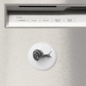 Schnecke Magnet (In Situ (Geschirrspüler))