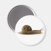 Schnecke Magnet (Vorderseite/Rückseite)