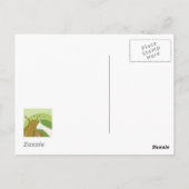 Schnecke Mail! Postkarte (Rückseite)