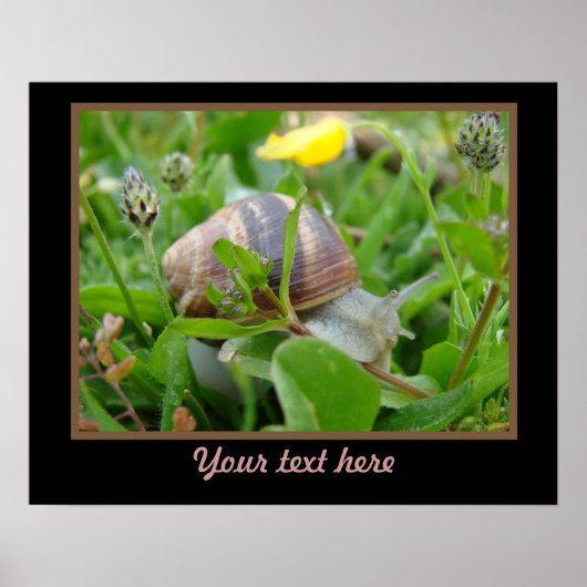 Schnecke mit gelber Blume Poster (Vorne)