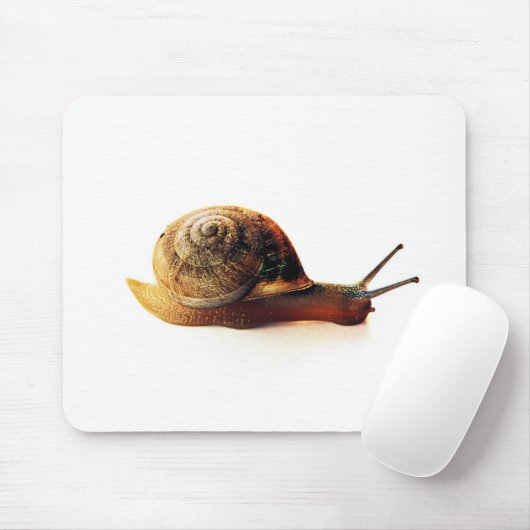 Schnecke Mousepad (Mit Mouse)