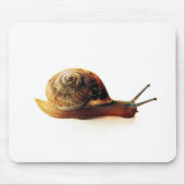 Schnecke Mousepad (Vorne)