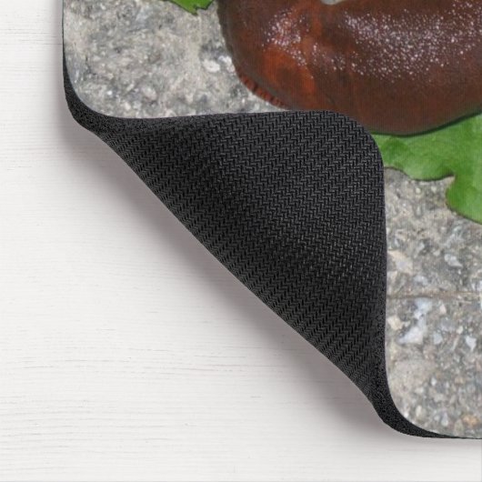 Schnecke Mousepad (Ecke)