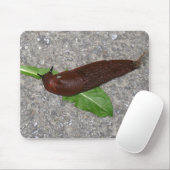 Schnecke Mousepad (Mit Mouse)