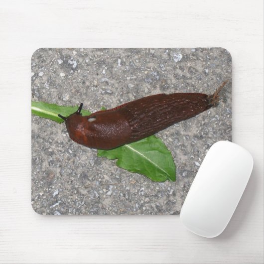 Schnecke Mousepad (Mit Mouse)