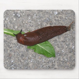 Schnecke Mousepad