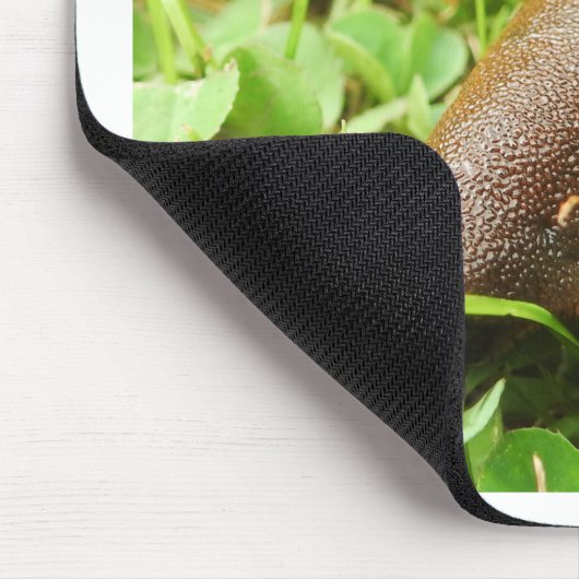 Schnecke Mousepad (Ecke)