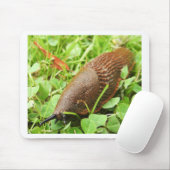Schnecke Mousepad (Mit Mouse)