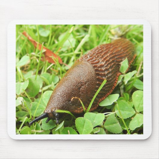 Schnecke Mousepad (Vorne)