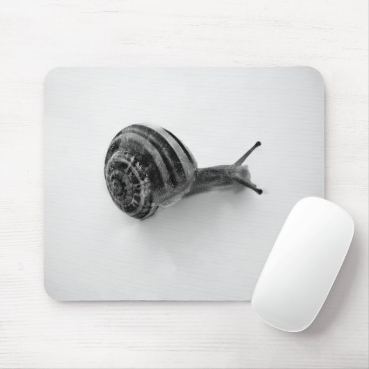 Schnecke Mousepad (Mit Mouse)