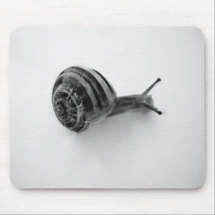 Schnecke Mousepad