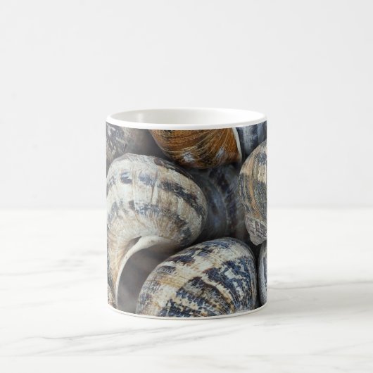 Schnecke-Muscheln Kaffeetasse (Mittel)