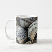 Schnecke-Muscheln Kaffeetasse (Links)