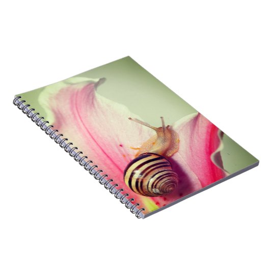 Schnecke Notizblock (Rechte Seite)