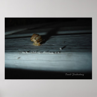 Schnecke Poster