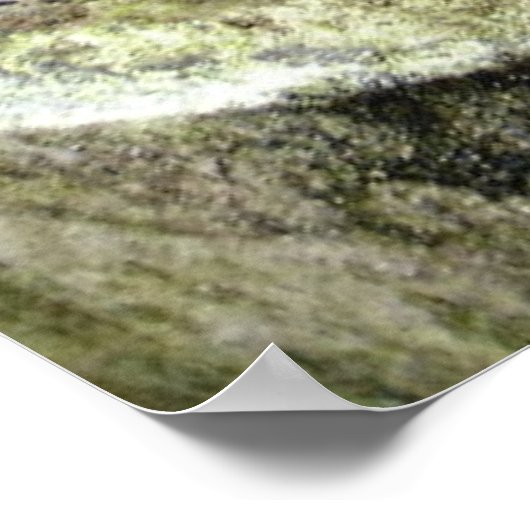 Schnecke Poster (Ecke)