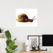 Schnecke Poster (Heimbüro)