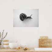Schnecke Poster (Küche)