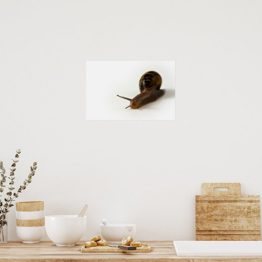 Schnecke Poster (Küche)