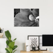 Schnecke Poster (Heimbüro)