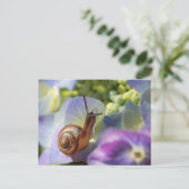 Schnecke Postkarte (Stehend Vorderseite)