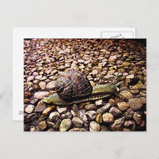 Schnecke Postkarte (Vorne/Hinten)