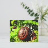 Schnecke Postkarte (Stehend Vorderseite)