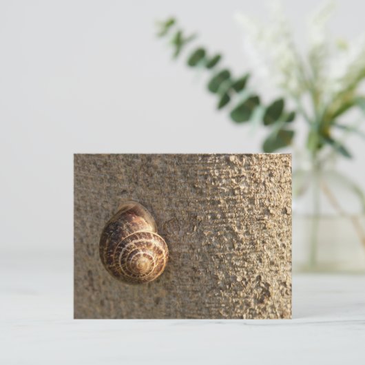 Schnecke Postkarte (Stehend Vorderseite)