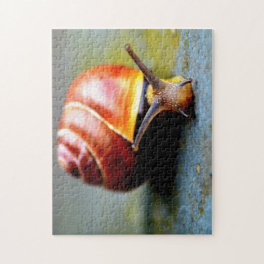 Schnecke Puzzle (Vertikal)