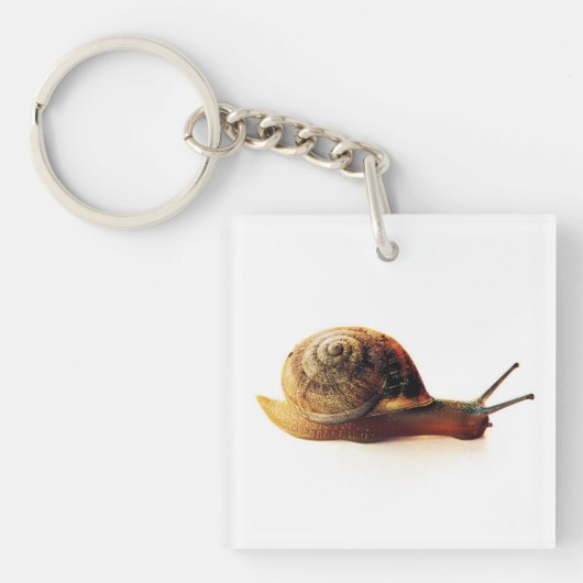 Schnecke Schlüsselanhänger (Vorderseite)