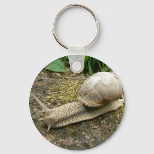 Schnecke Schlüsselanhänger (Vorderseite)