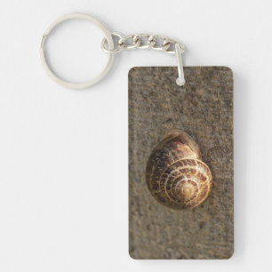 Schnecke Schlüsselanhänger
