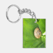 Schnecke Schlüsselanhänger (Vorderseite links)
