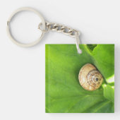 Schnecke Schlüsselanhänger (Vorderseite)