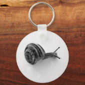 Schnecke Schlüsselanhänger (Vorderseite)