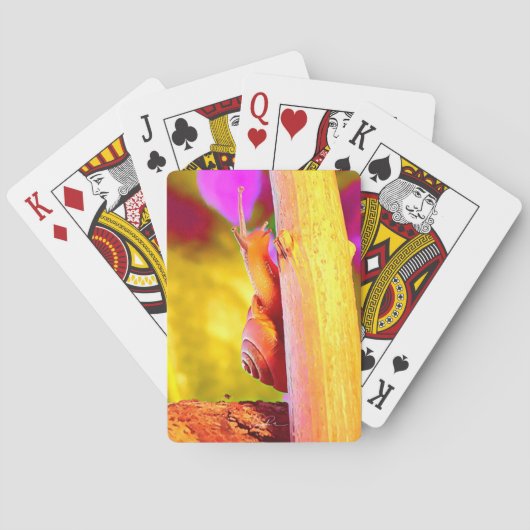 Schnecke Spielkarten (Rückseite)