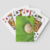 Schnecke Spielkarten (Rückseite)