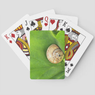 Schnecke Spielkarten