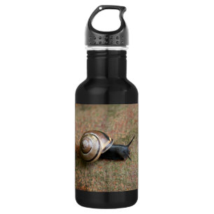 Schnecke Trinkflasche