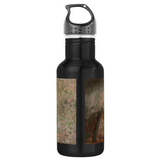 Schnecke Trinkflasche (Rückseite)