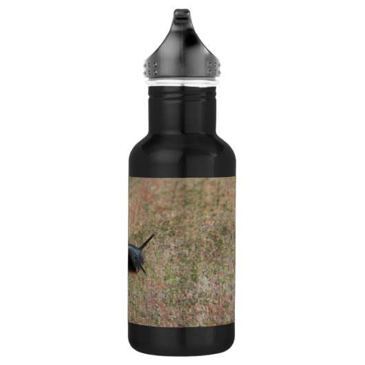 Schnecke Trinkflasche (Rechts)