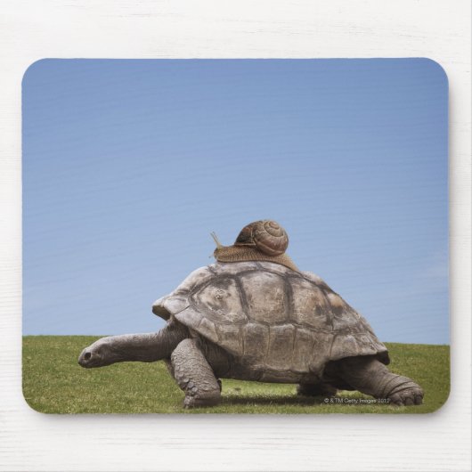 Schnecke über einer Schildkröte Mousepad (Vorne)