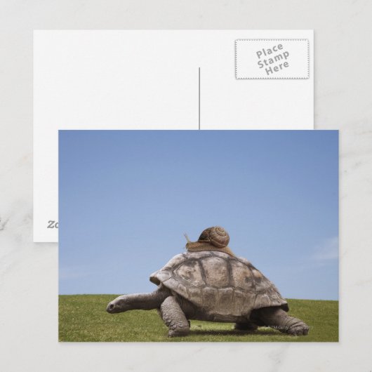 Schnecke über einer Schildkröte Postkarte (Vorne/Hinten)