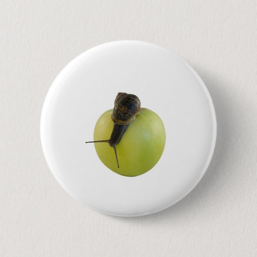 Schnecke und Apfel Button (Vorderseite)
