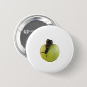 Schnecke und Apfel Button (Vorne & Hinten)