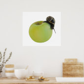 Schnecke und Apfel Poster (Küche)