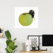 Schnecke und Apfel Poster (Heimbüro)