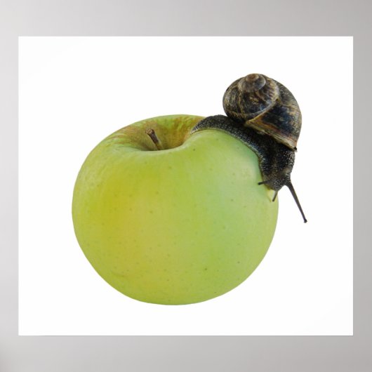 Schnecke und Apfel Poster (Vorne)