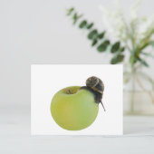 Schnecke und Apfel Postkarte (Stehend Vorderseite)